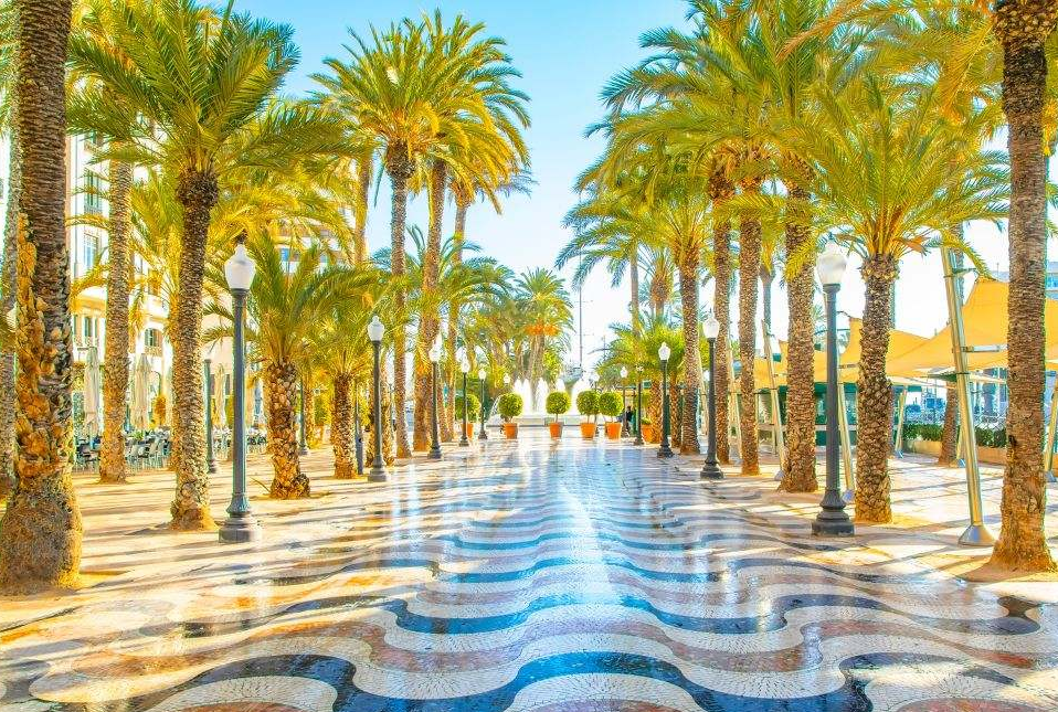 إسبلانادا سائق عربي